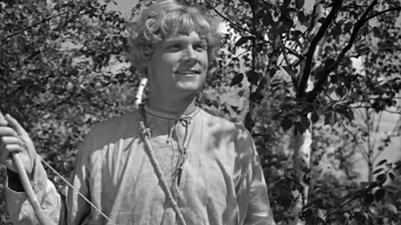 Vassilisa the Beautiful