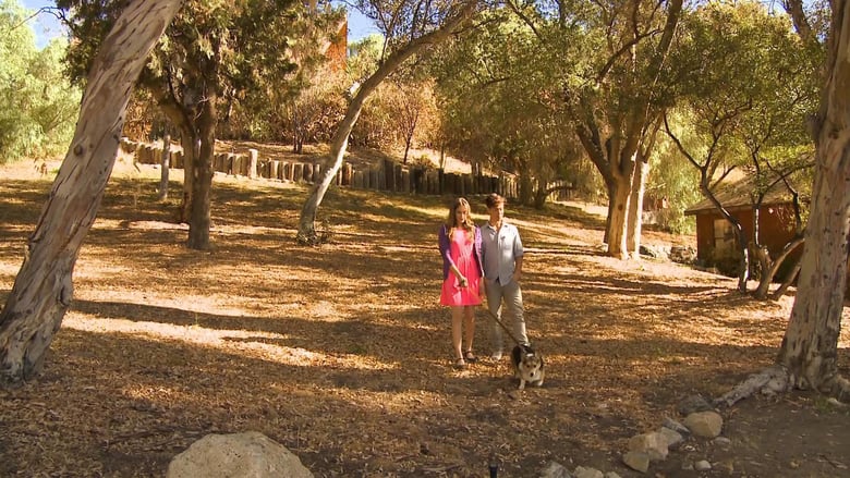 An Easter Bunny Puppy