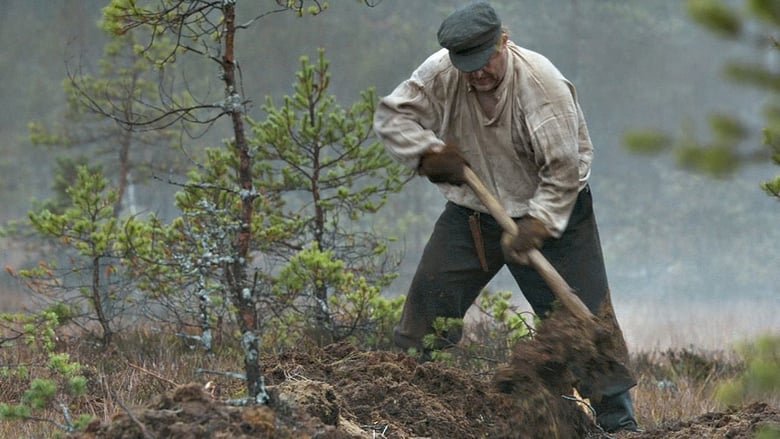 Tommy and the Wildcat